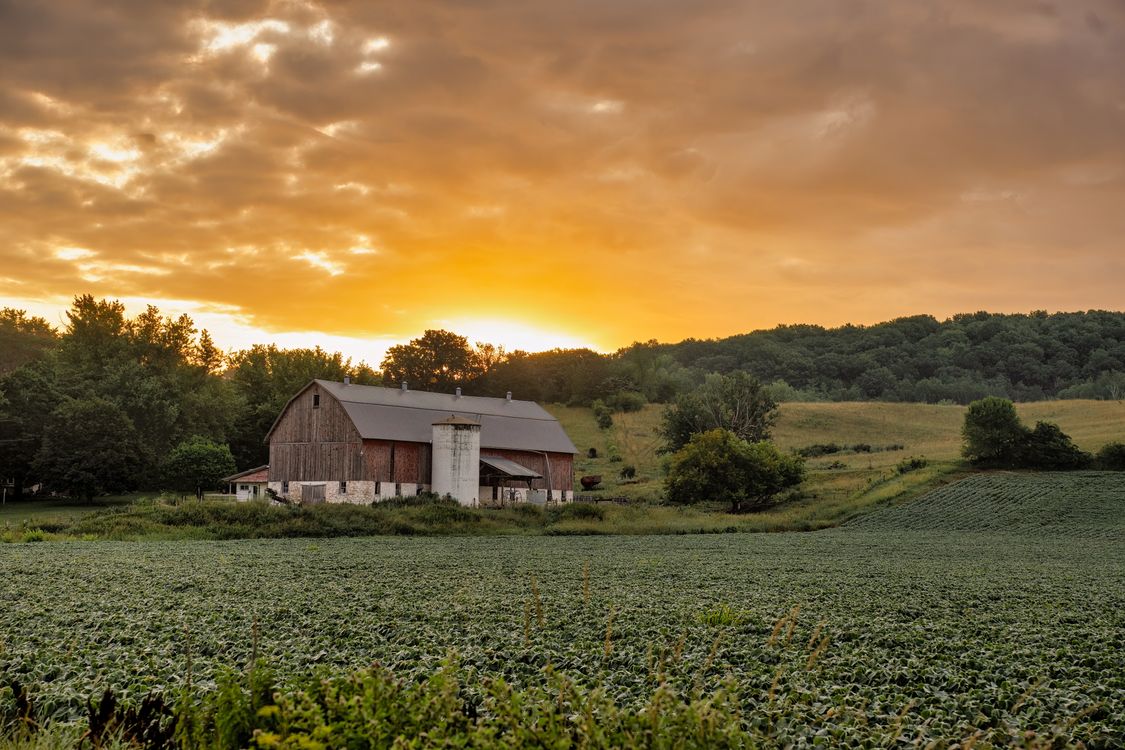 American barn and farmland at golden hour sunset